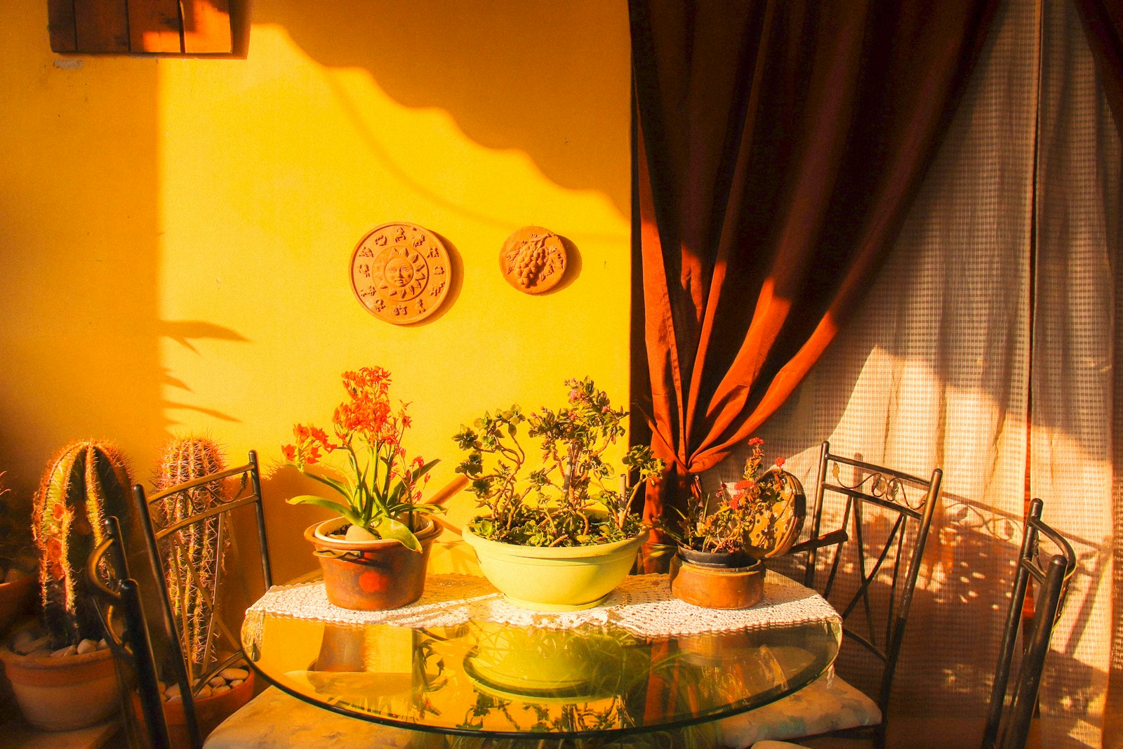 a table with a glass top surrounded by potted plants